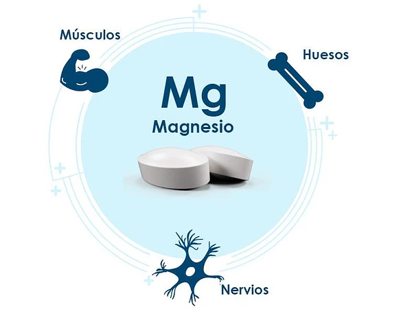 El Poder del Magnesio
