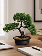 Planta artificial estilo bonsái - Miniatura 4