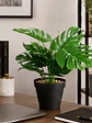 Planta decorativa artificial - Miniatura 3