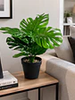 Planta decorativa artificial - Miniatura 2
