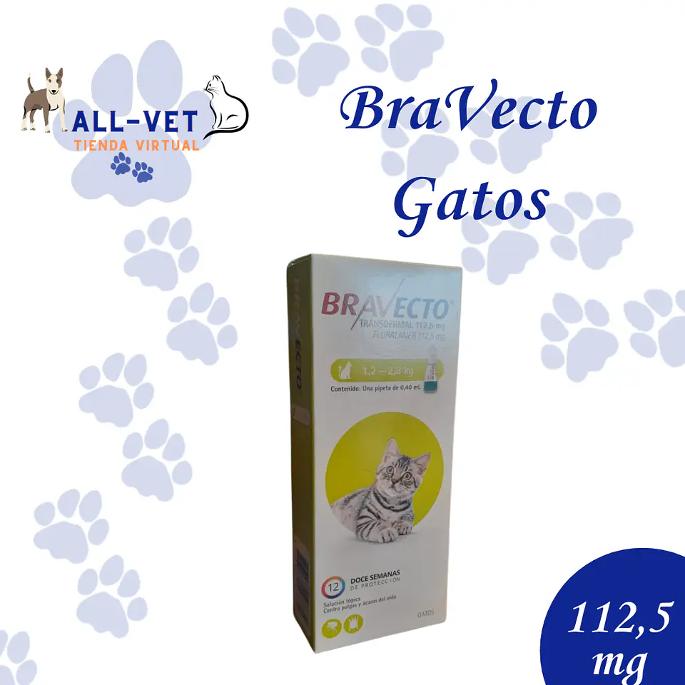 Bravecto Pipeta Gato 112,5 mg - 1,2 a 2,8 Kg 1