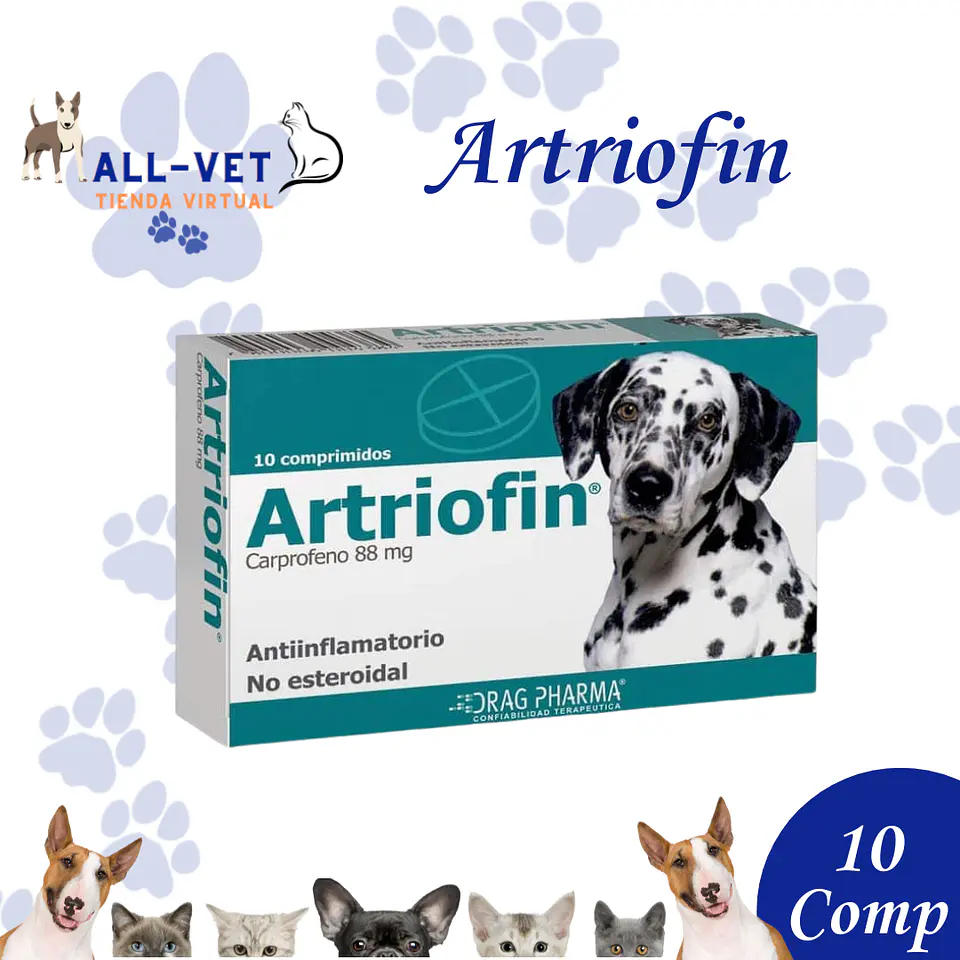 Artriofin 10 Comprimidos 1