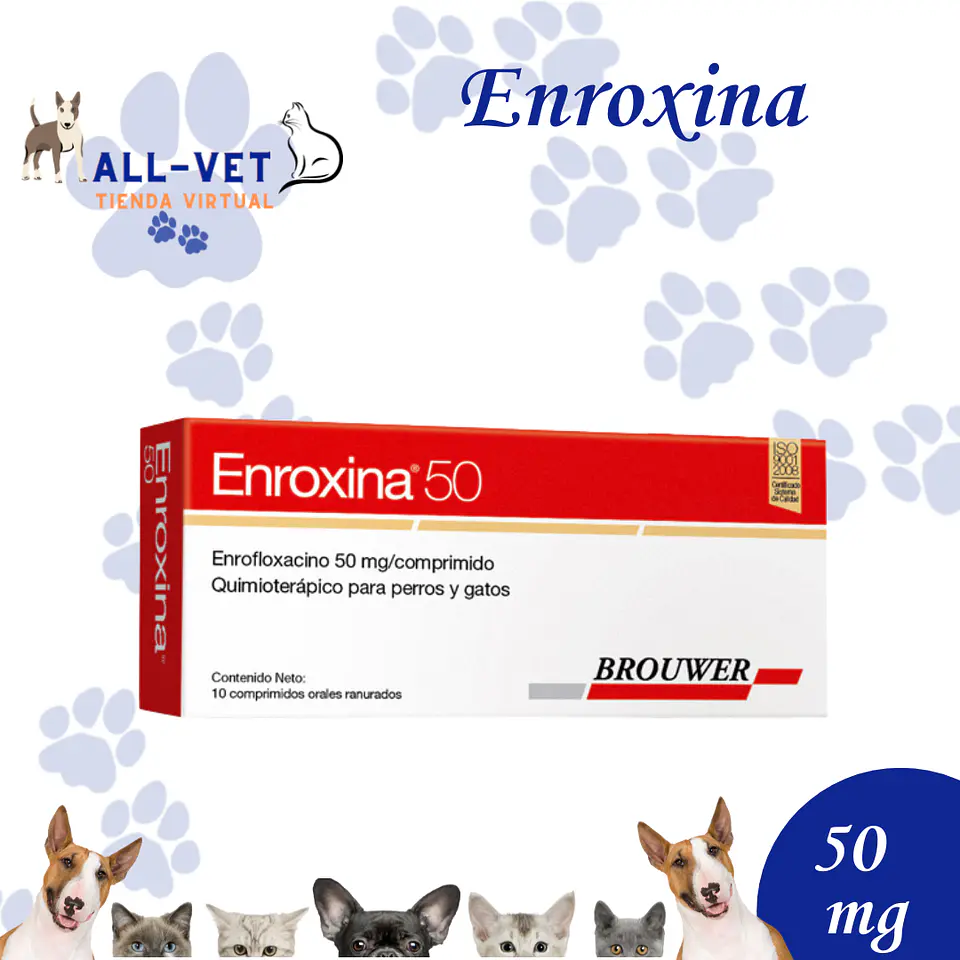 Enroxina 50 mg - 10 Comp.  / Venta con Receta Médica 1