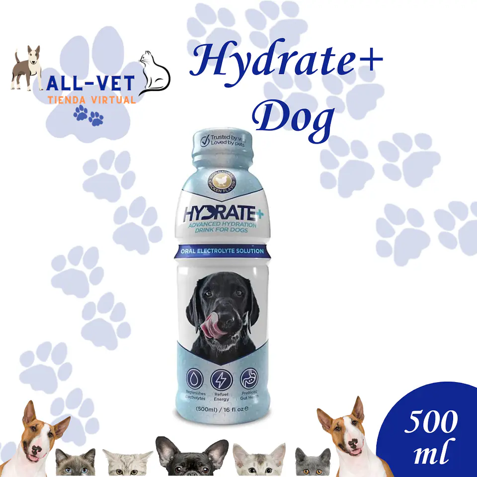 Hydrate+ Dog 500ml 1