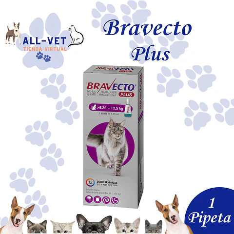 Bravecto Plus 500 mg para Gatos de 6,25 a 12,5 Kg