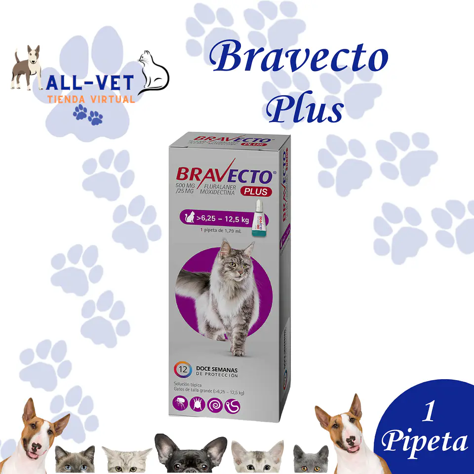 Bravecto Plus 500 mg para Gatos de 6,25 a 12,5 Kg 1