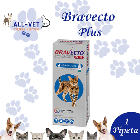 Bravecto Plus 250 mg para Gatos de 2,8 a 6,25 Kg
