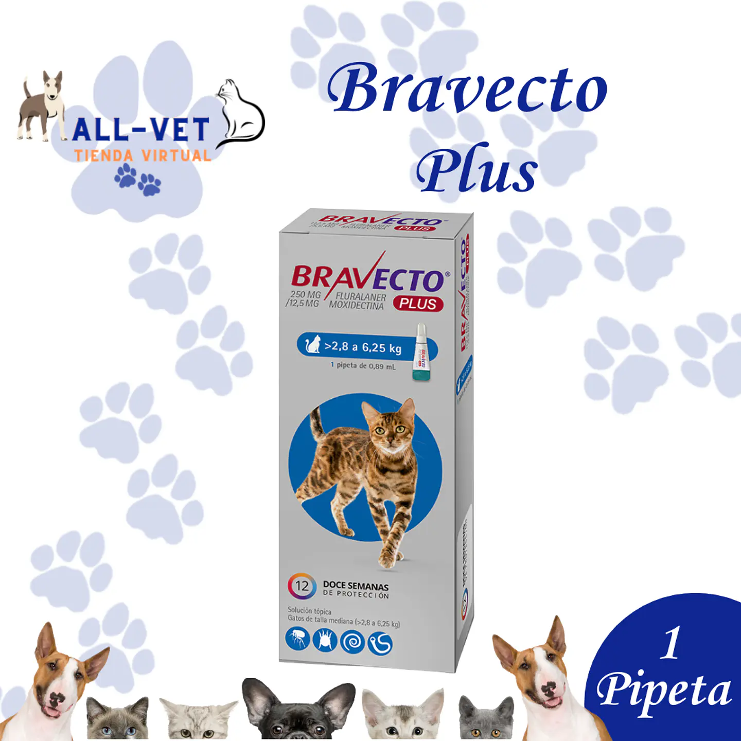 Bravecto Plus 250 mg para Gatos de 2,8 a 6,25 Kg 1