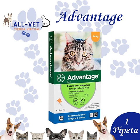  Advantage Gatos de Hasta 4 Kg 