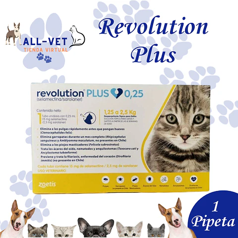 Revolution Plus Gatos de 1,25 a 2,5 kg (1  Pipeta)