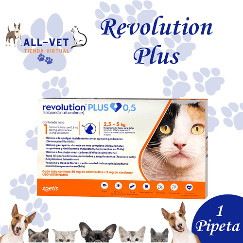 Revolution Plus Gatos de 2,5 a 5 kg (1  Pipeta)