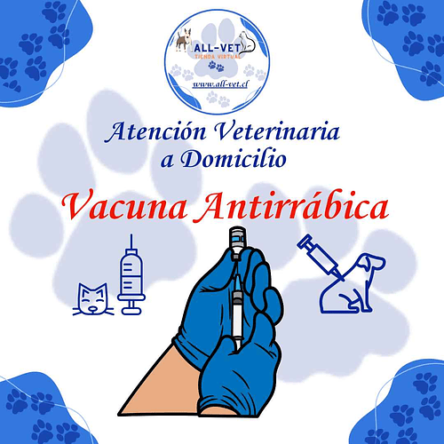 Vacuna Antirrábica a Domicilio - Descuentos desde 10% a 25% . (Ver Detalle)