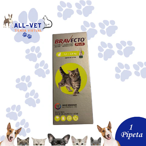 Bravecto Plus 112,5 mg para Gatos de 1,2 a 2,8 Kg