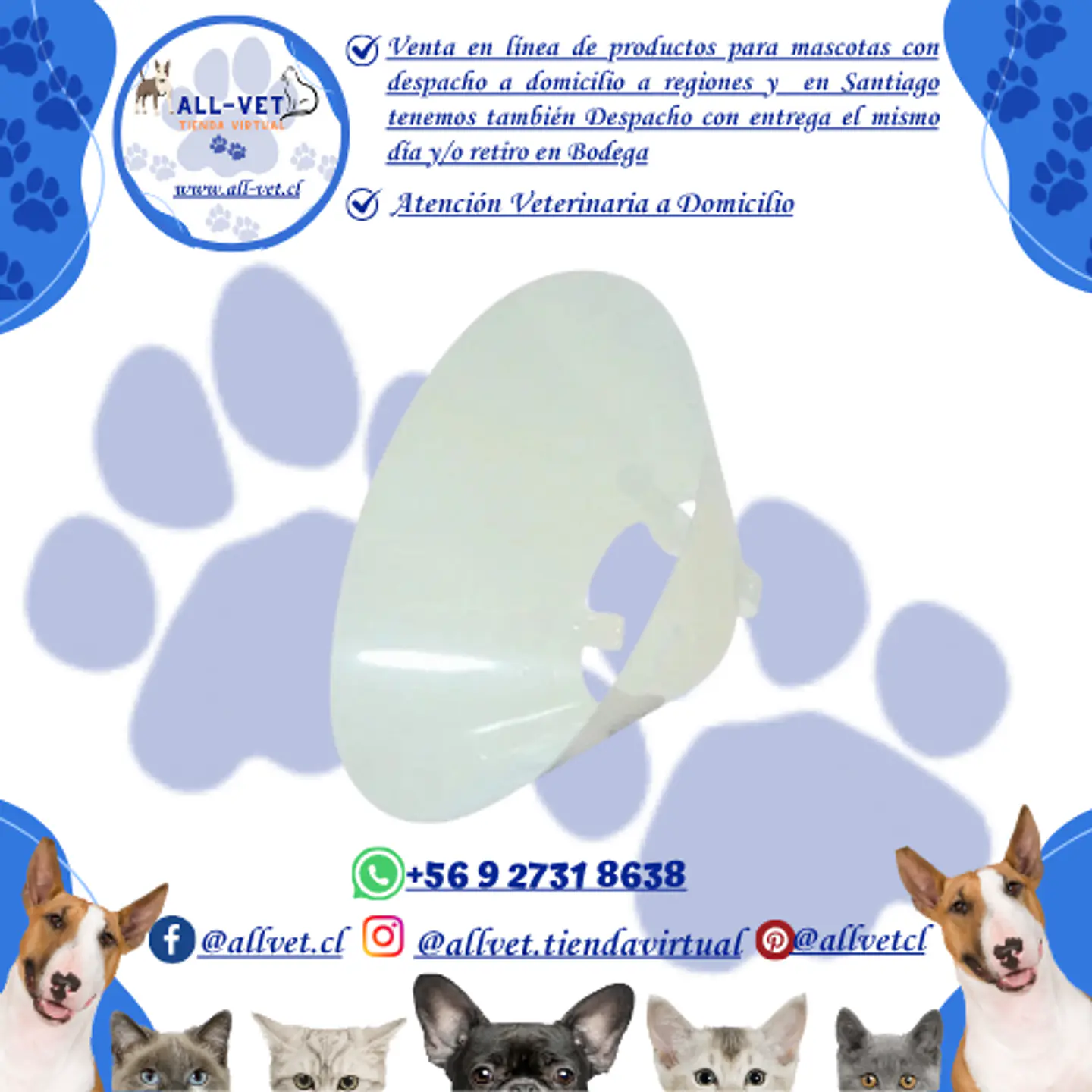Collar Isabelino No. 30 para Perros Grandes | Cono de 25-35 Kg 1