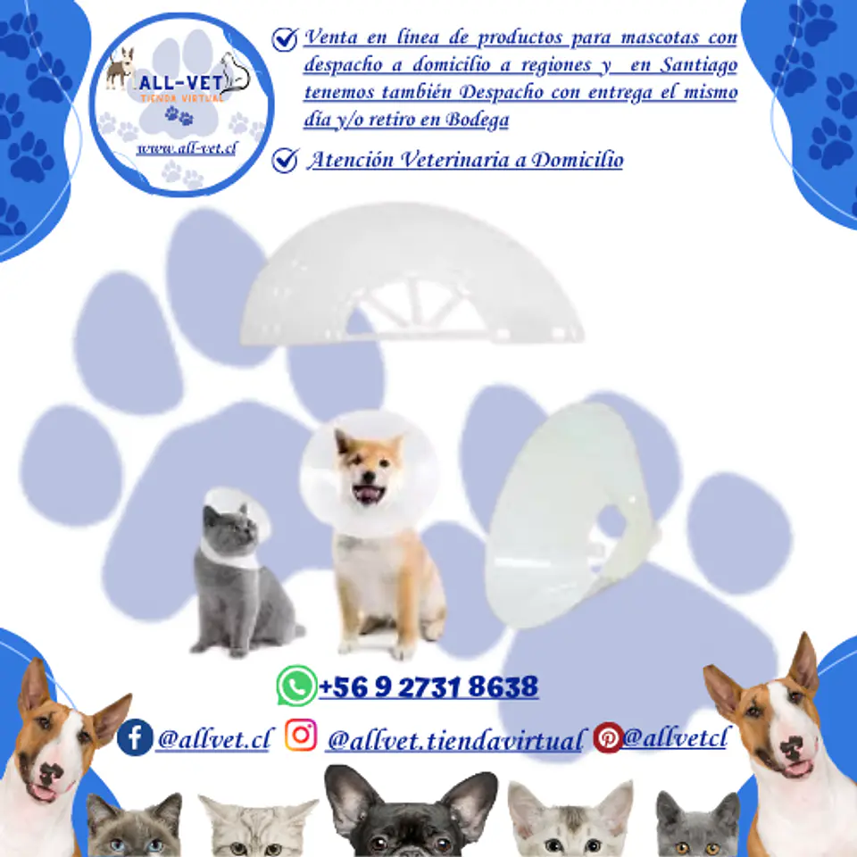 Collar Isabelino No. 20 para Perros | Cono Clínico de 15 a 25 Kg 2