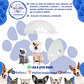Collar Isabelino No. 12,5 | Cono para Mascotas de 5 a 10 Kg - Miniatura 2