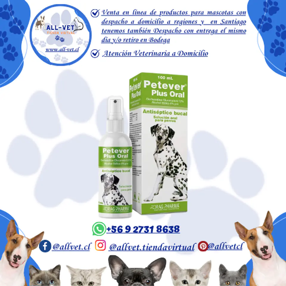 Petever Plus Oral 100 ml 1