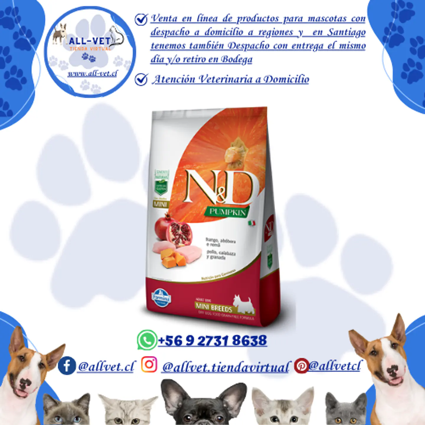 N&D Pumpkin Canine Adult Mini Pollo 2,5 kG 1