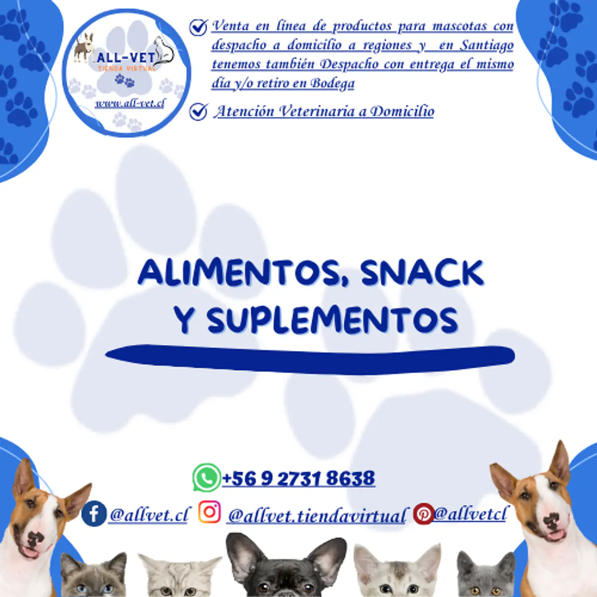 <b>ALL-VET | Veterinaria a Domicilio en Santiago & Farmacia Especializada con Envíos a todo Chile