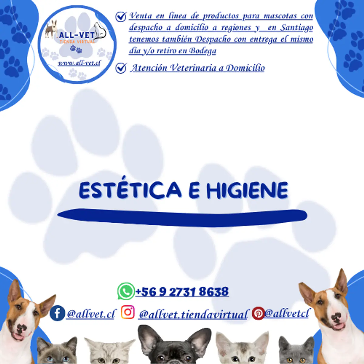 <b>ALL-VET | Veterinaria a Domicilio en Santiago & Farmacia Especializada con Envíos a todo Chile
