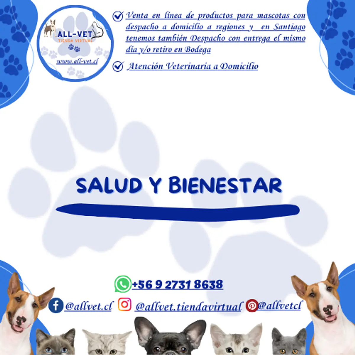 <b>ALL-VET | Veterinaria a Domicilio en Santiago & Farmacia Especializada con Envíos a todo Chile