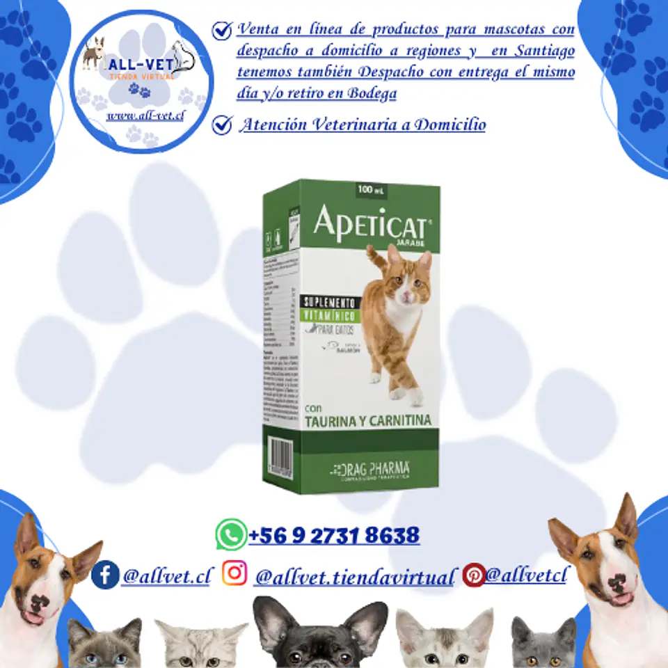 Apeticat Jarabe 100 ml 1