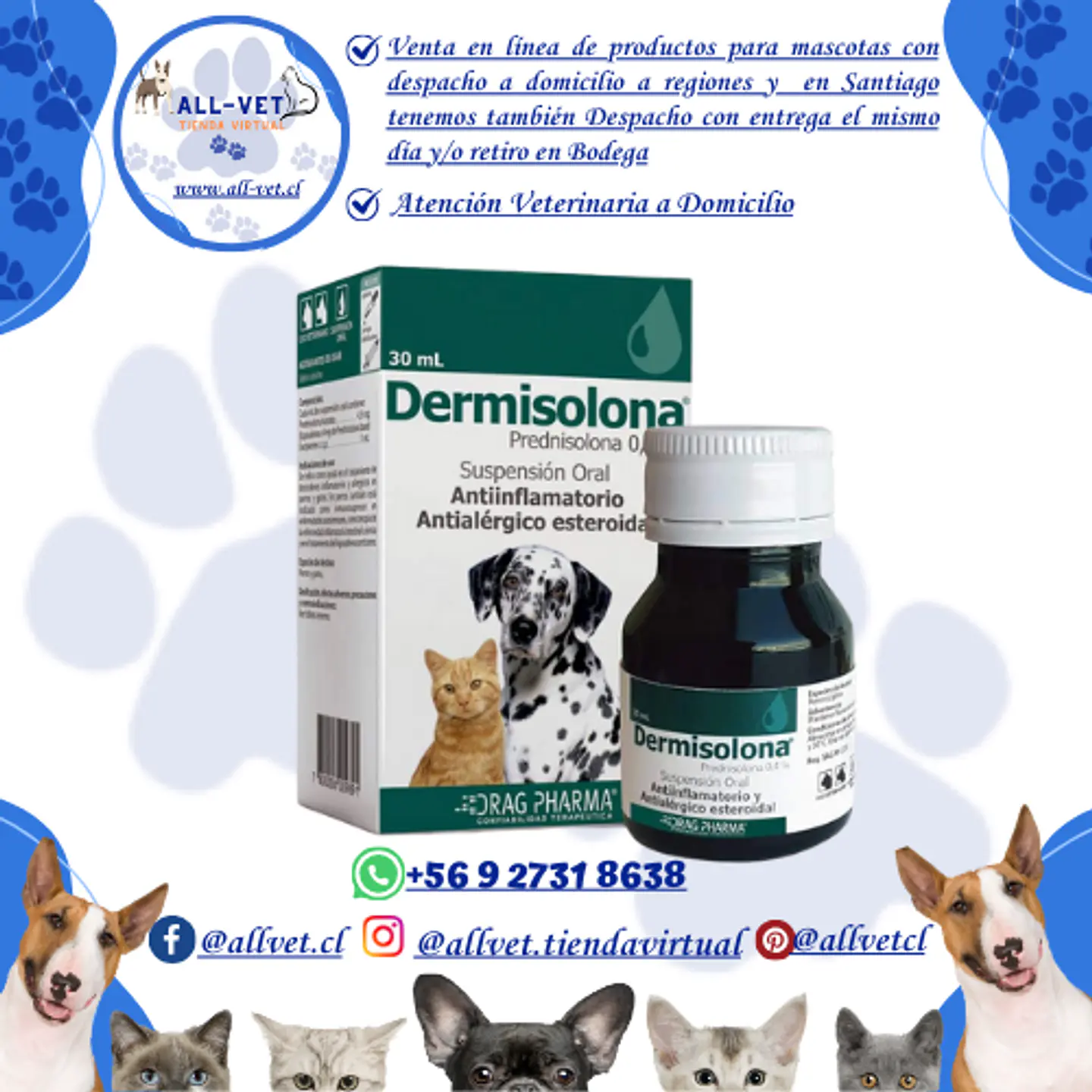 Dermisolona Suspensión Oral 30ml  / Venta con Receta Médica 1
