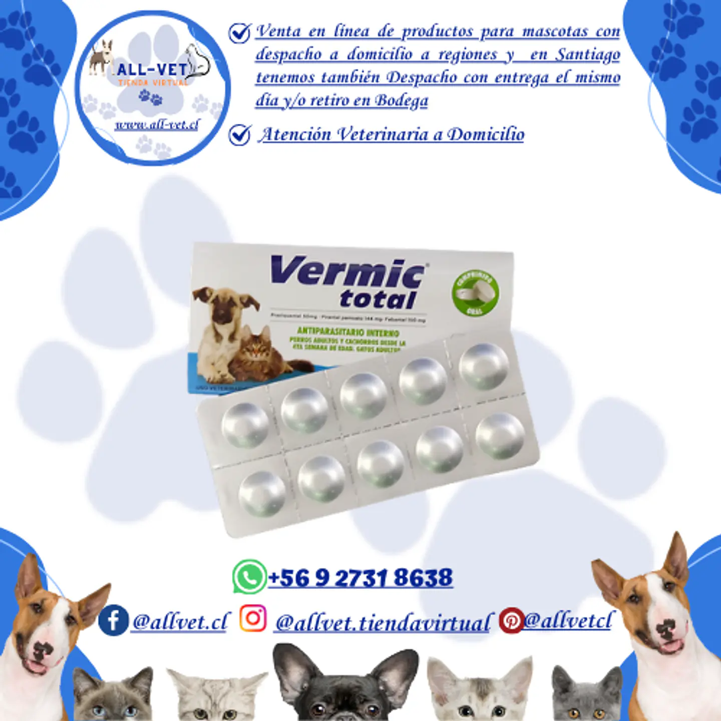 Vermic Total - Blisters de 10 Comprimidos 1