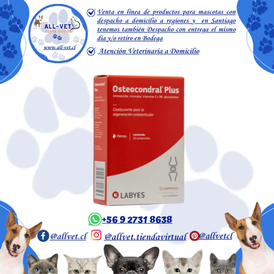Osteocondral Plus 30 comprimidos 1