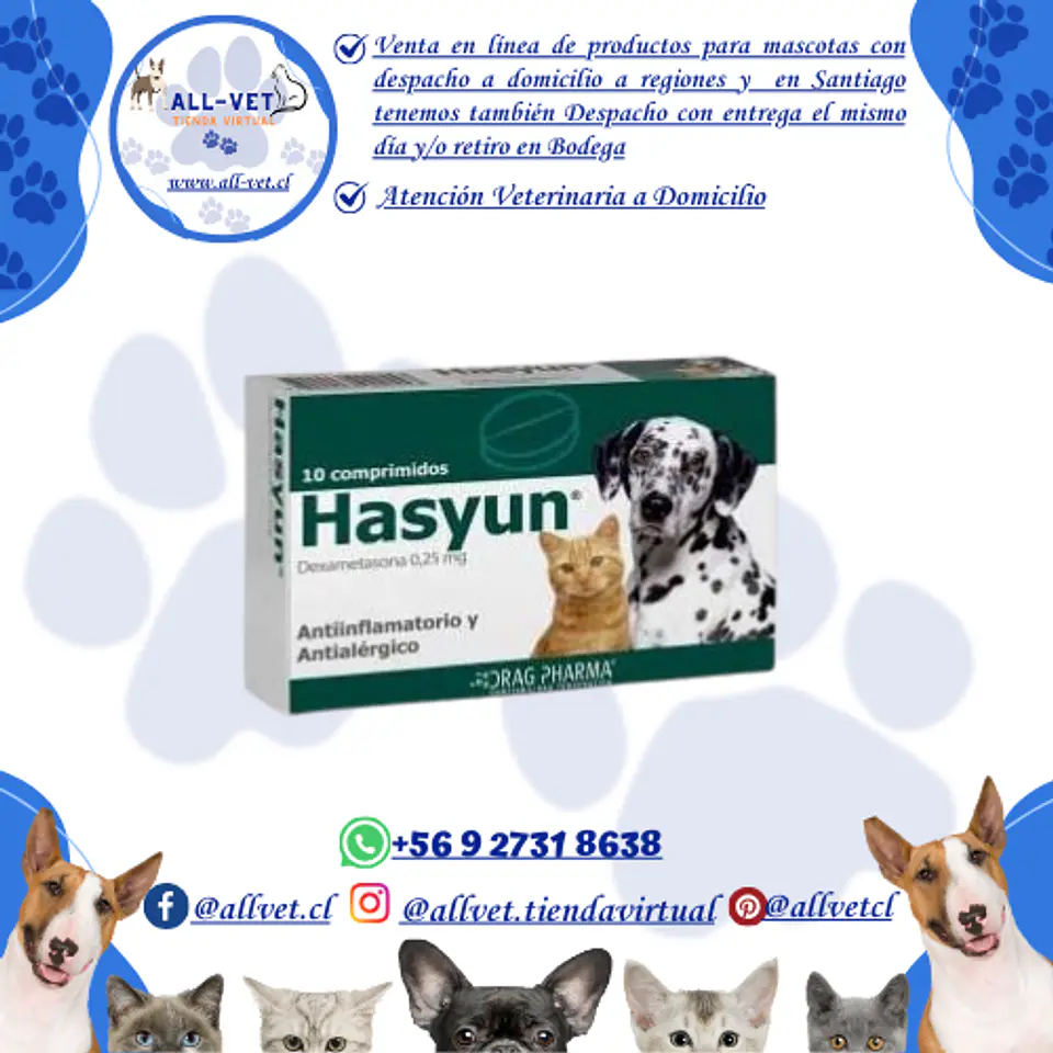 Hasyun 10 Comprimidos  / Venta con Receta Médica 1