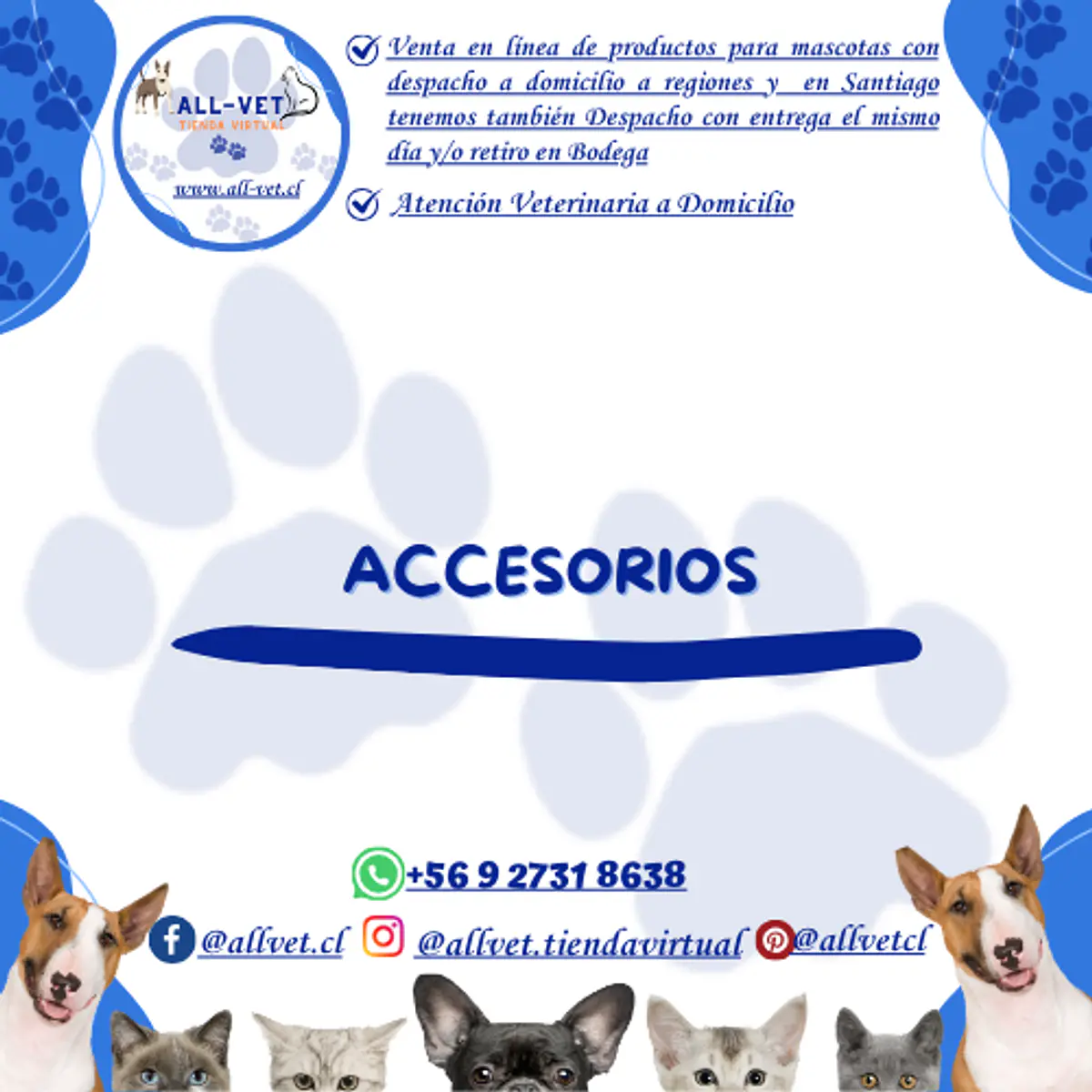 <b>ALL-VET | Veterinaria a Domicilio en Santiago & Farmacia Especializada con Envíos a todo Chile