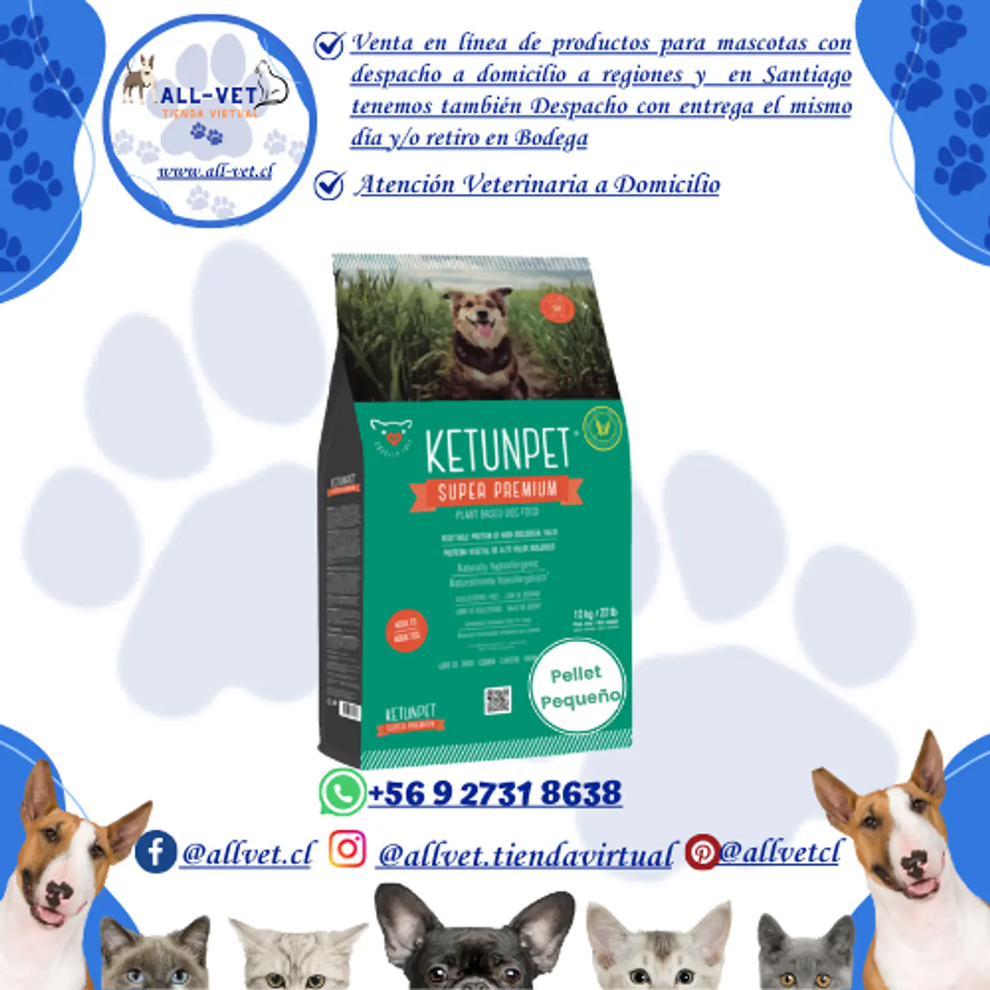 Ketunpet Adultos Croquetas Pequeñas Saco: 10 kg 1