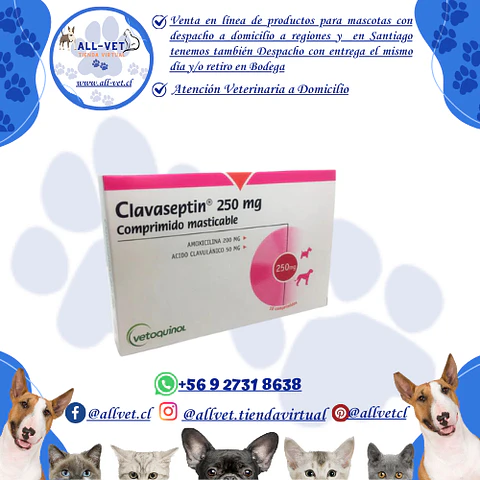 Clavaseptin 250 mg - 10 comprimidos / Venta con Receta Médica