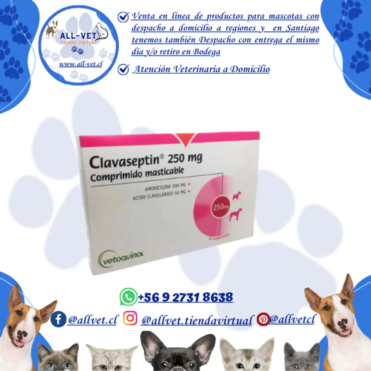 Clavaseptin 250 mg - 10 comprimidos / Venta con Receta Médica 1