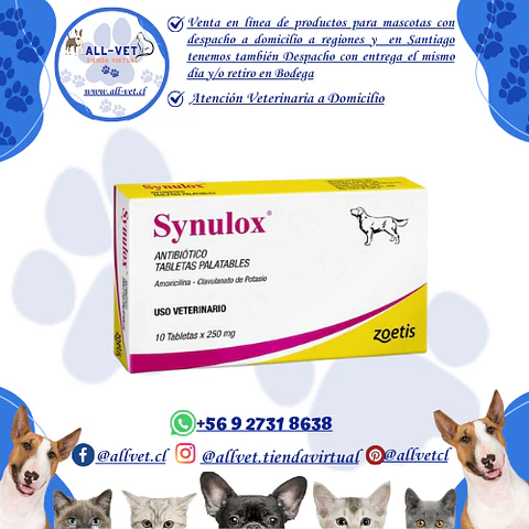 Synulox 250mg 10 comprimidos  / Venta con Receta Médica