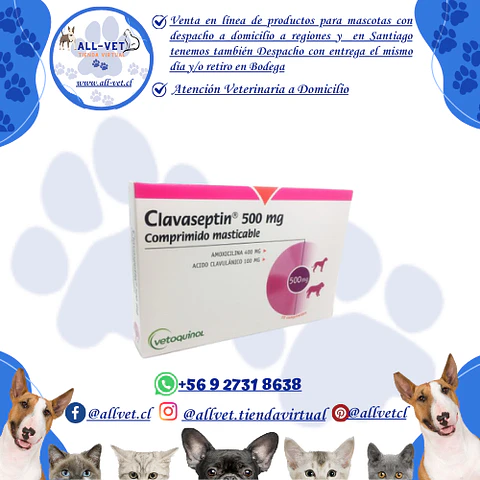 Clavaseptin 500 mg - 10 comprimidos  / Venta con Receta Médica