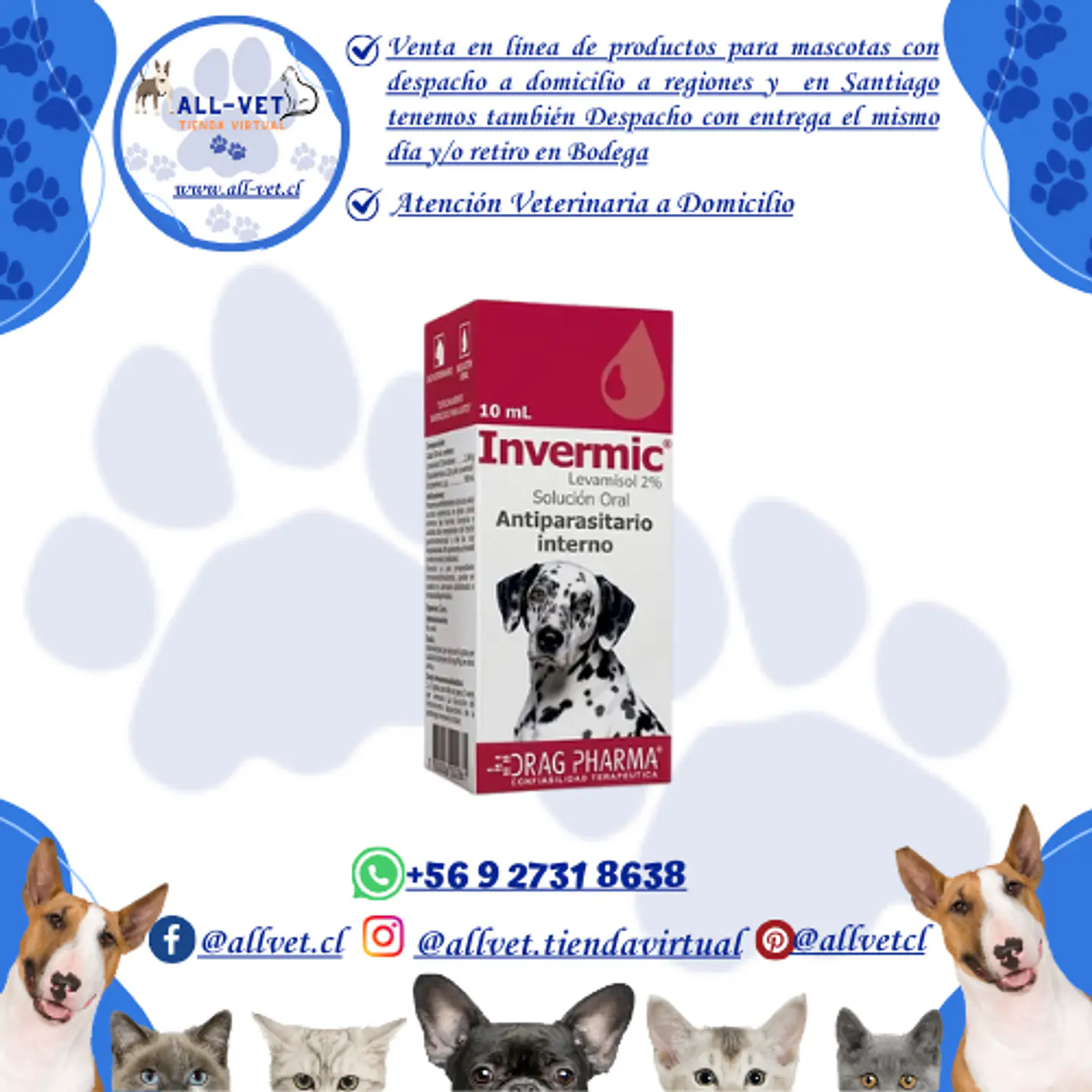 Invermic Perros Solución Oral  10 ml 1