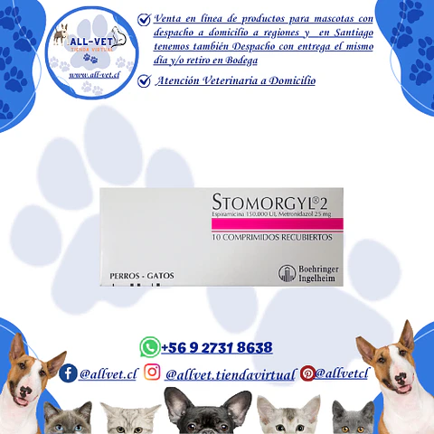 Stomorgyl 2 - Metronidazol 25 mg - 10 Comp / Venta con Receta Médica