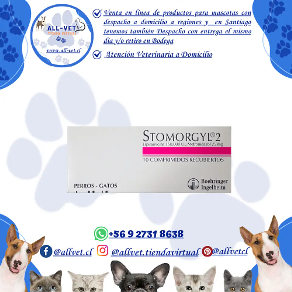 Stomorgyl 2 - Metronidazol 25 mg - 10 Comp / Venta con Receta Médica 1