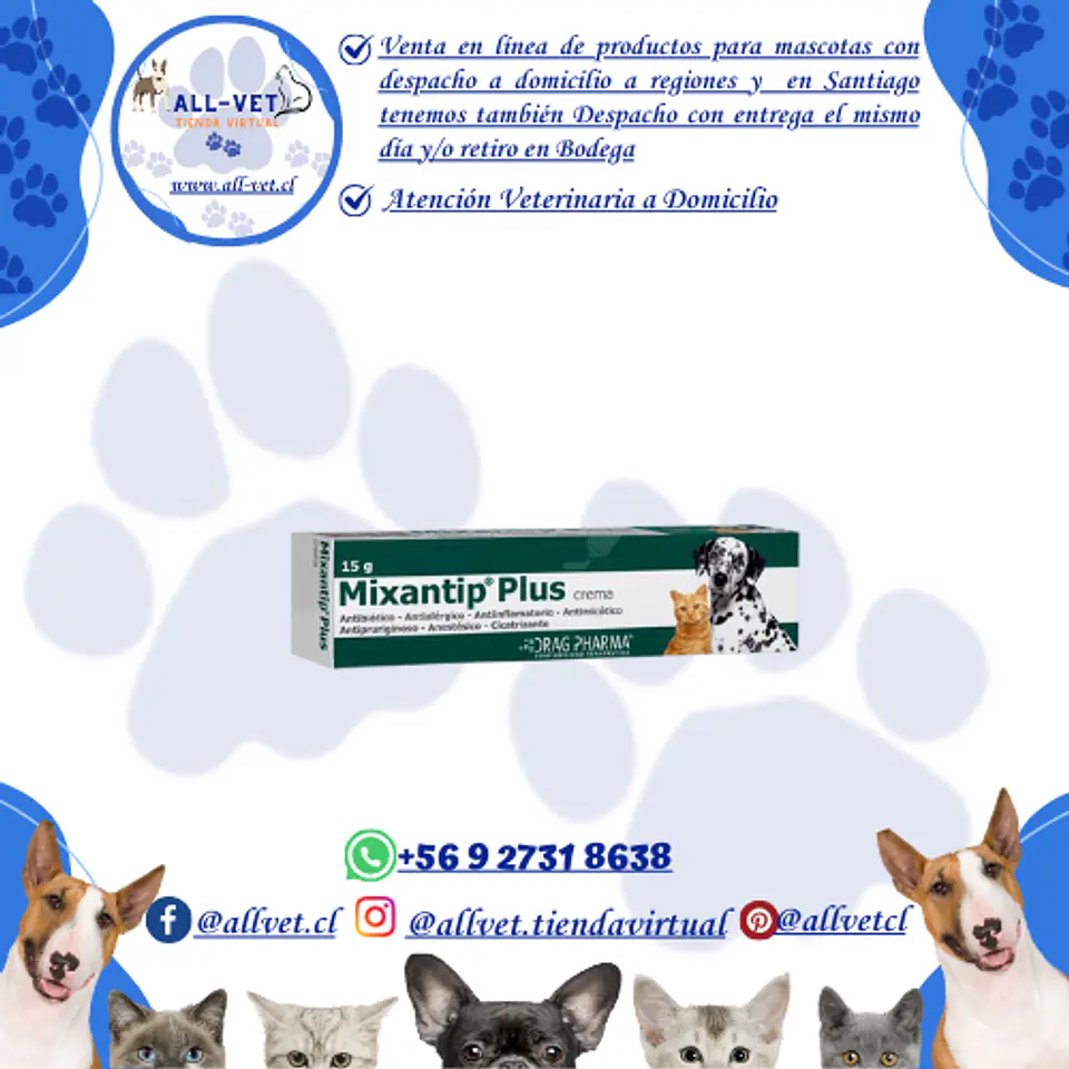 Mixantip Plus crema 15 g 1