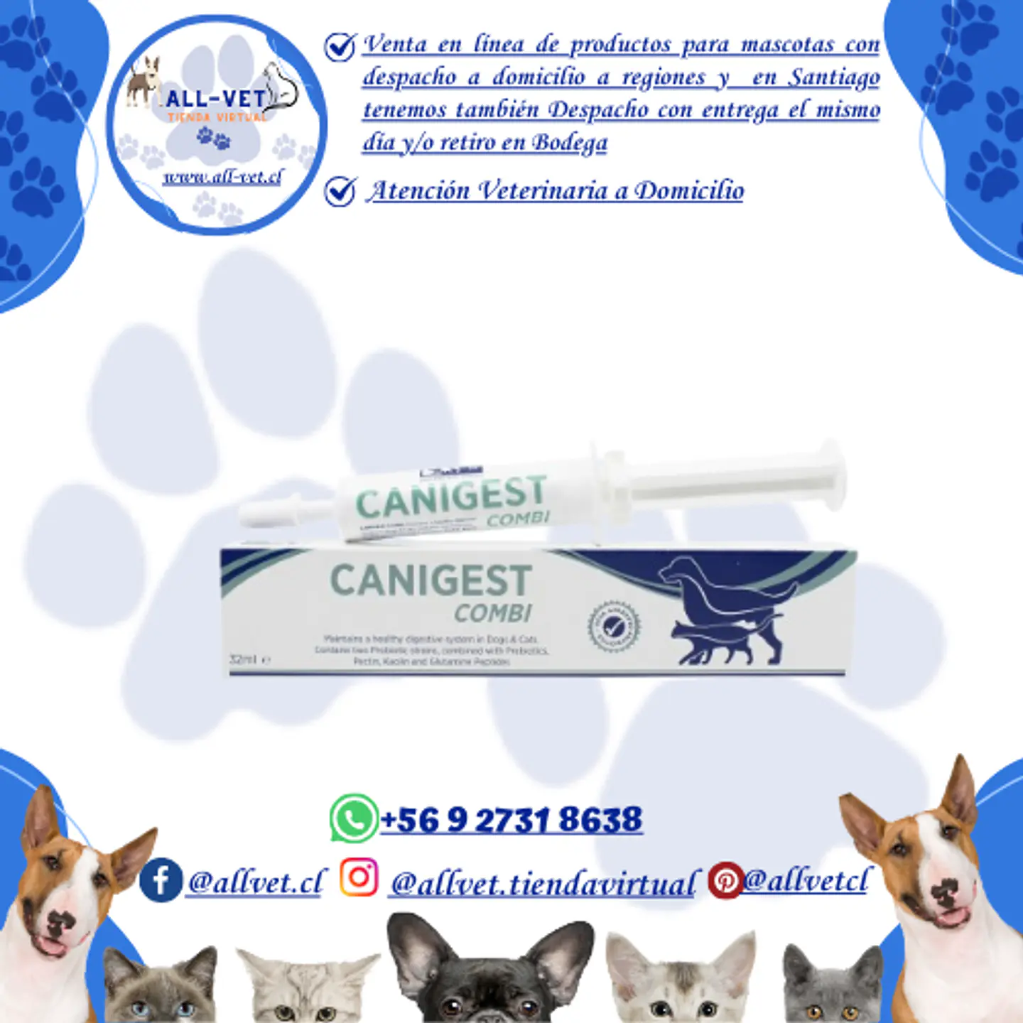 Canigest Combi 32 ml 1