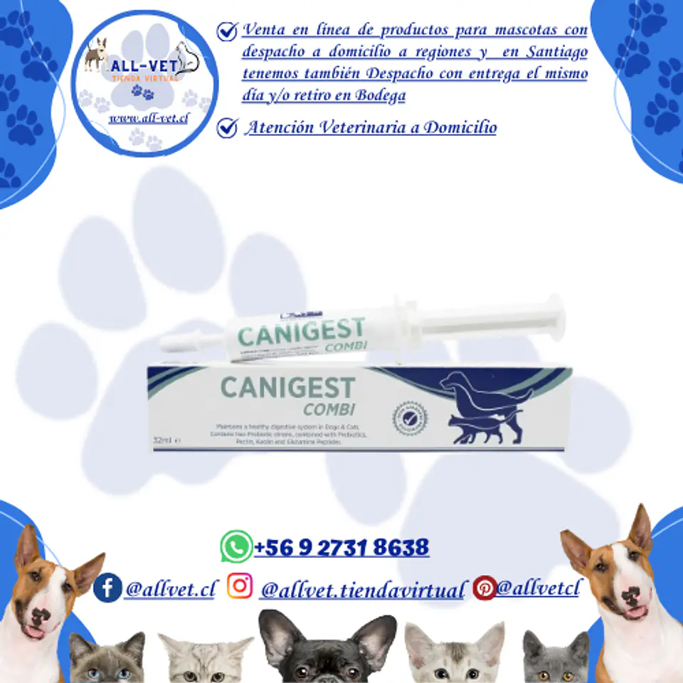 Canigest Combi 32 ml 1