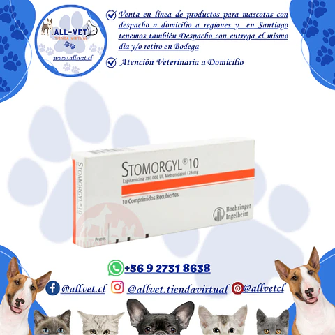 Stomorgyl 10 - Metronidazol 125 mg - 10 Comp. / Venta con Receta Médica