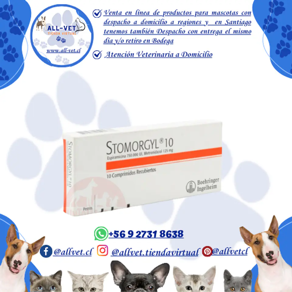 Stomorgyl 10 - Metronidazol 125 mg - 10 Comp. / Venta con Receta Médica 1