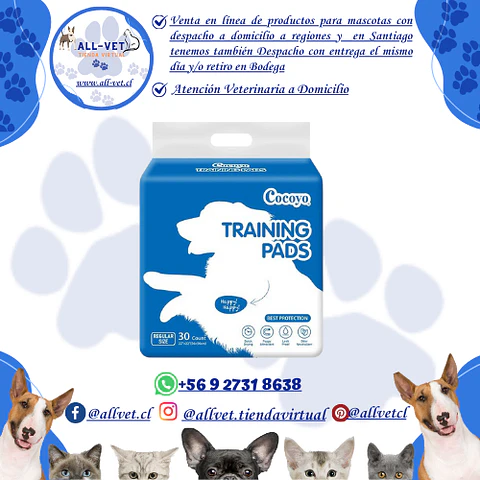 Sabanillas para Perros Cocoyo 56x56 cm 30 und