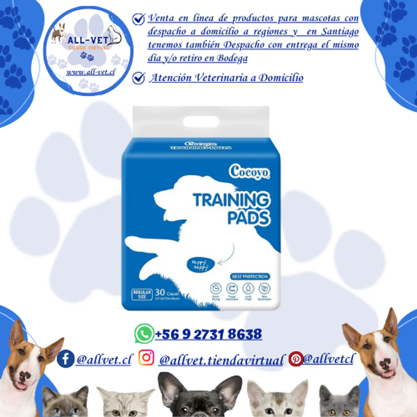 Sabanillas para Perros Cocoyo 56x56 cm 30 und 1