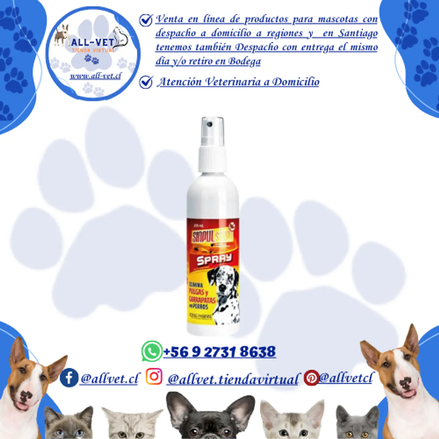 Sinpul Spray 200 ml 1