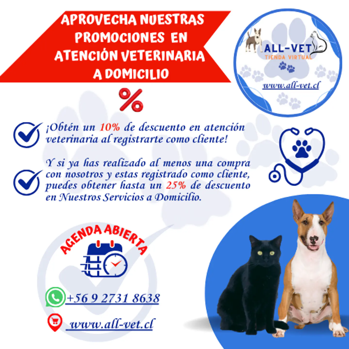 Implantación de Chip para Mascotas a Domicilio en Santiago - Con Agenda en Línea 2