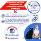 Implantación de Chip para Mascotas a Domicilio en Santiago - Con Agenda en Línea - Miniatura 2