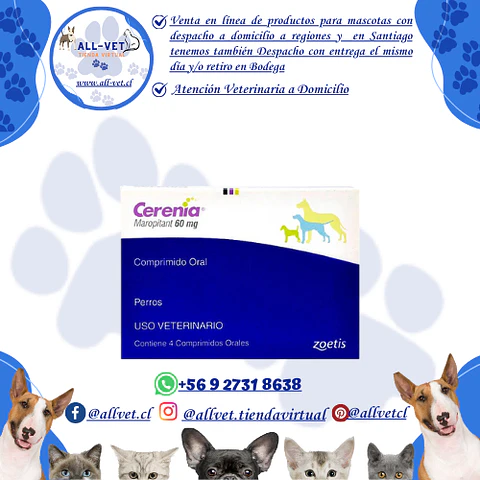 Cerenia 60 mg 4 Comprimidos
